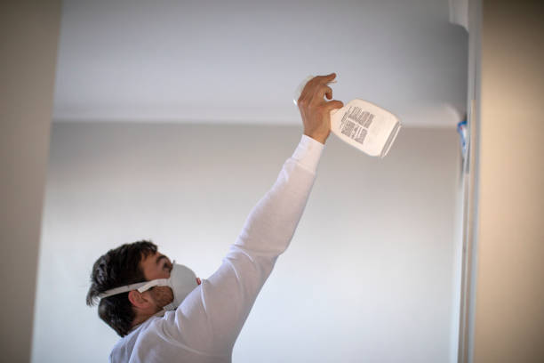 Best Certified Mold Removal  in Daleville, IN